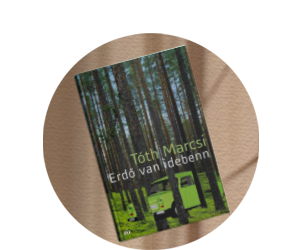 T�th Marcsi: Erd� van idebenn