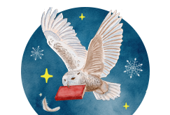 Minden m�sodik k�nyv f�l �ron!