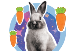 H�sv�ti k�nyvvad�szat