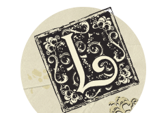 A t�rt�netmes�l�s ereje