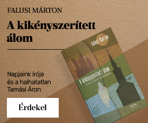 Falusi Mrton: A kiknyszertett lom 