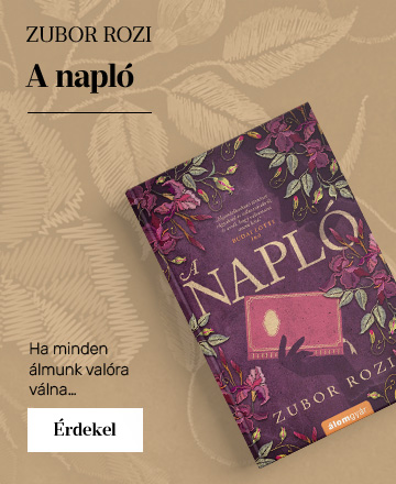 A napl