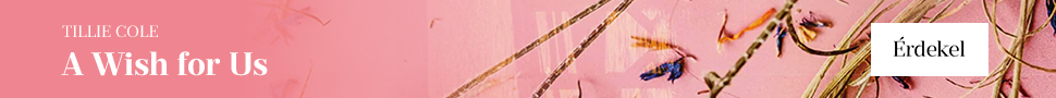 Tillie Cole: A Wish for Us - Ezt k�v�nom magunknak