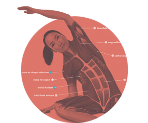 Joni Jacobs: A pilates anat�miai k�zik�nyve