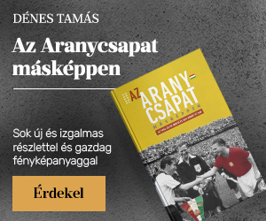 D�nes Tam�s: Az Aranycsapat m�sk�ppen - Az 1954-es vb-d�nt� – �s ami m�g�tte van