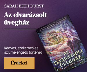 Sarah Beth Durst: Az elvarzsolt veghz