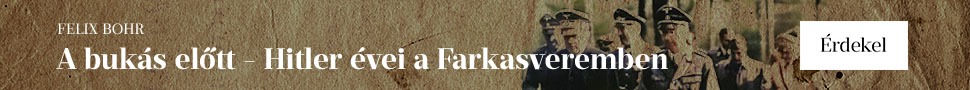 Felix Bohr: A buk�s el�tt