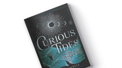 Pascale Lacelle: Curious Tides 