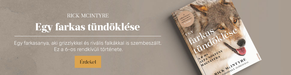 Rick McIntyre: Egy farkas t�nd�kl�se