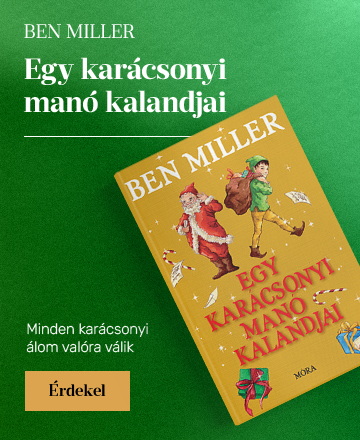 Egy karcsonyi man kalandjai