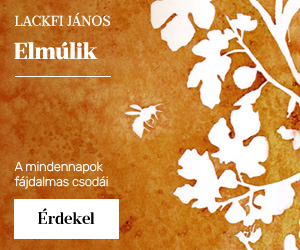 Lackfi Jnos: Elmlik