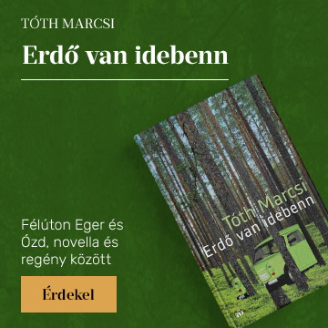 Erd van idebenn
