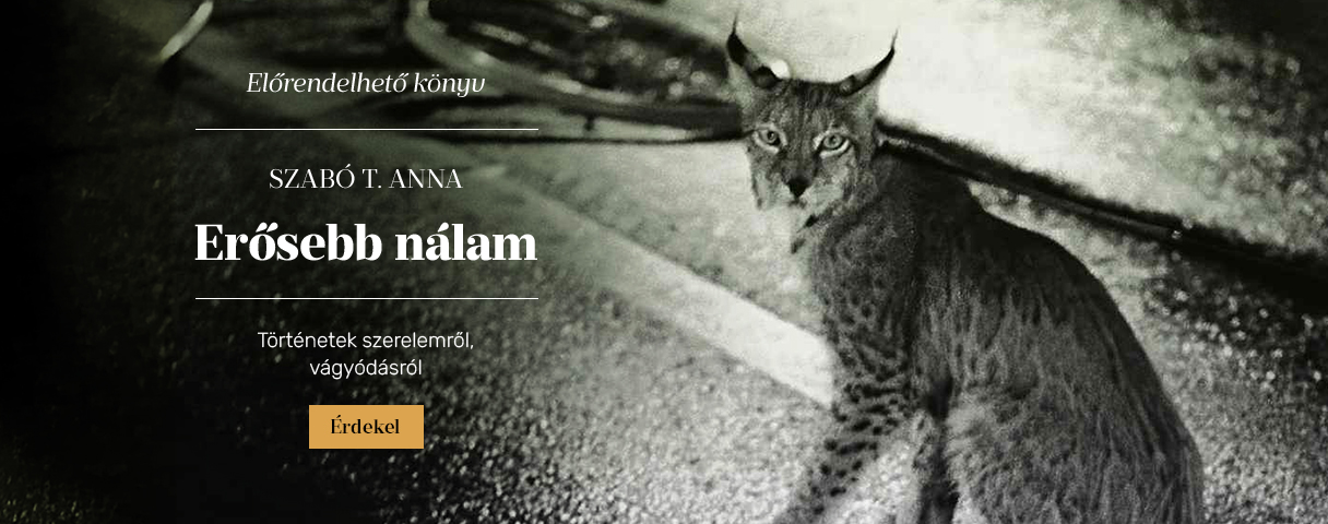 Szab T. Anna: Ersebb nlam