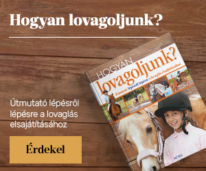 Hogyan lovagoljunk?