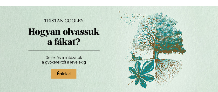 Hogyan olvassuk a fkat?