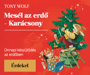 Tony Wolf: Mesl az erd - Karcsony - 3D knyv