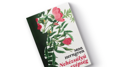 Moa Herngren: Neh�zs�ly� sz�ps�g