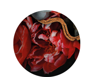 Catharina Maura: Nem k�v�nt h�zass�g