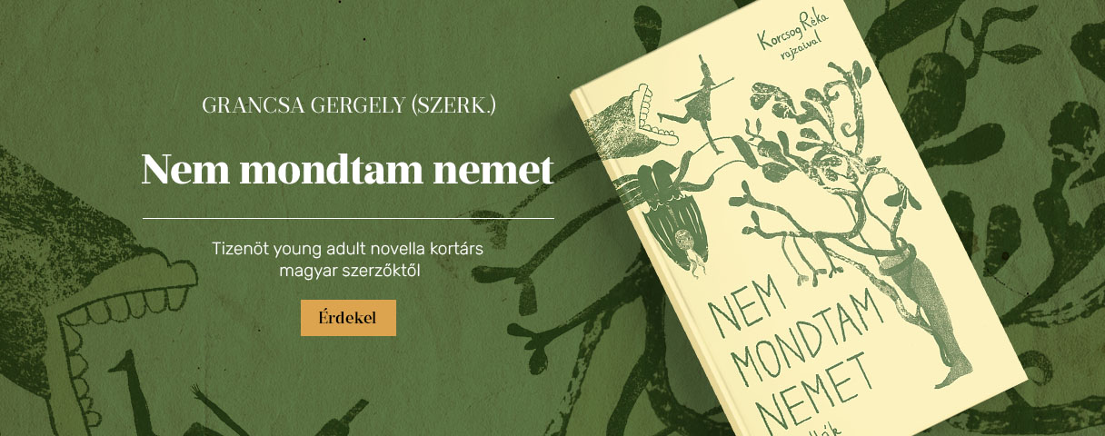 Nem mondtam nemet