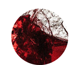 Dr. Rtkai Tmea: lni rted, lni tged