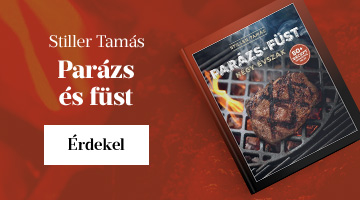 Stiller Tams: Parzs s fst - Ngy vszak