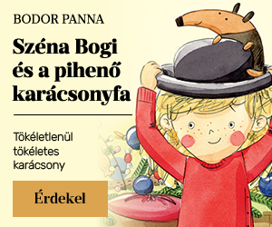 Bodor Panna: Szna Bogi s a pihen karcsonyfa