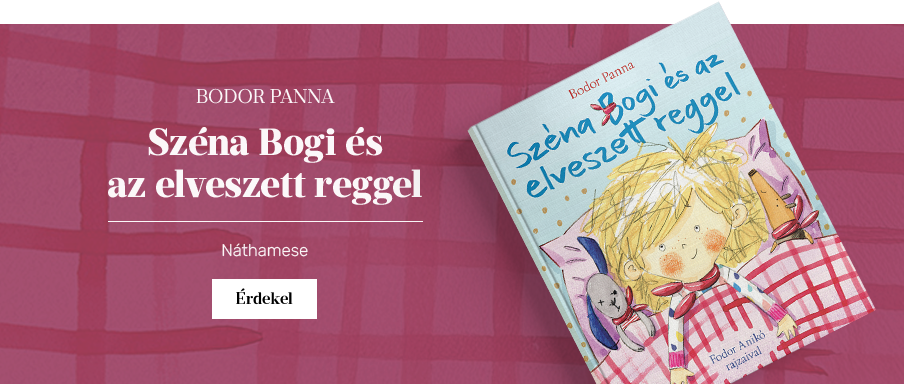 Szna Bogi s az elveszett reggel