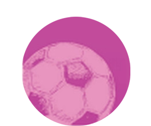 Ana Huang: The Striker 