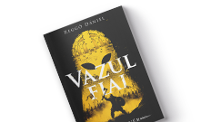 Regg Dniel: Viking vr - Vazul fiai