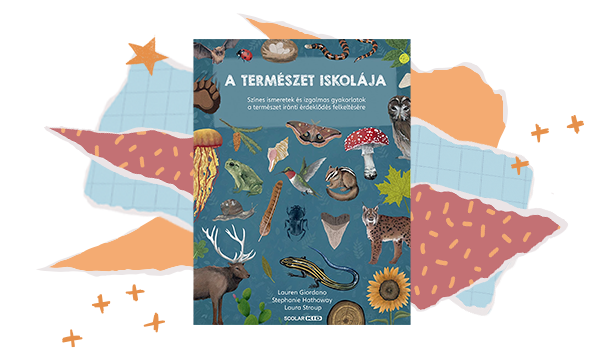 Rokonszenves rovarok k&ouml;nybor&iacute;t&oacute;ja