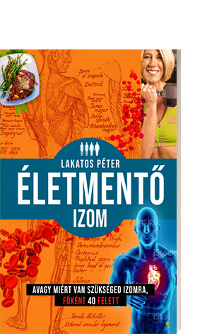Lakatos Pter: letment izom